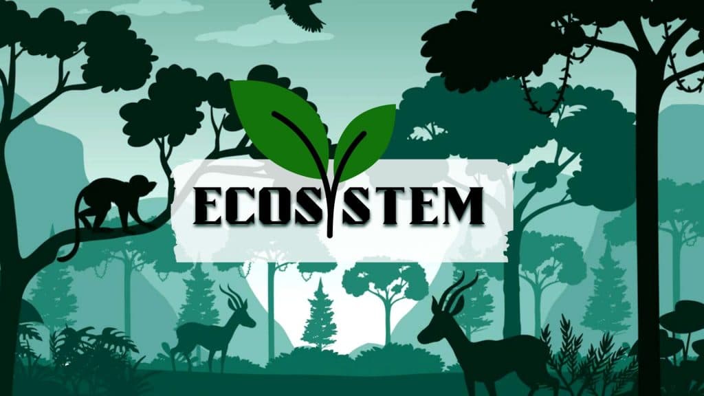ecosystem